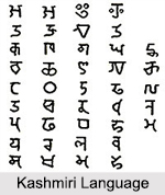 Kashmiri Language, Indian Languages