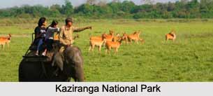 Tourism in Assam