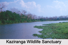 Assam Eco Parks