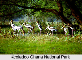 Tourism In Bharatpur District, Rajasthan