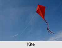 Kite flying in India, Indian Traditional Sport