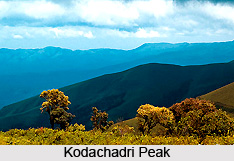 Kodachadri Peak, Karnataka