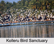 Bird Sanctuaries of Andhra Pradesh