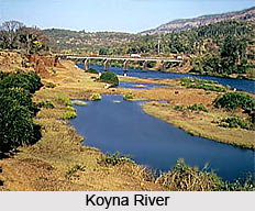 Koyna River