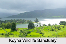 Wildlife Sanctuaries of Maharashtra