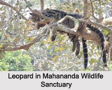 Wildlife Sanctuaries of West Bengal