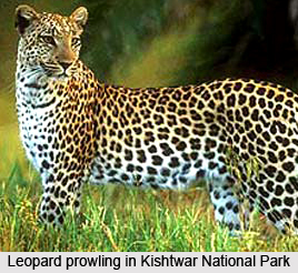 Kishtwar National Park, Jammu and Kashmir