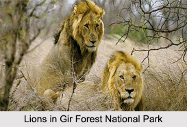 National Parks of Gujarat