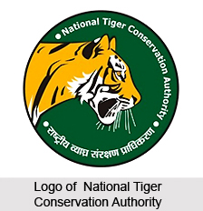 National Tiger Conservation Authority (NTCA)