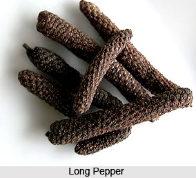 Long Pepper