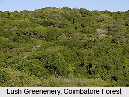 Coimbatore Forest Division, Tamil Nadu