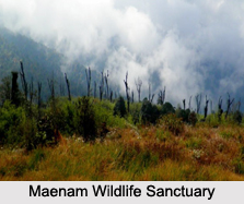 Wildlife Sanctuaries of Sikkim