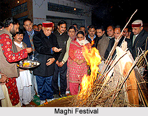 Maghi Festival, Punjab