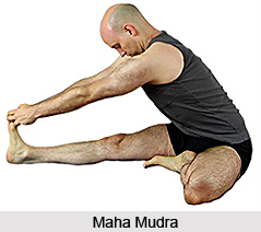 Mudras in Hatha Yoga