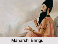 Bhrigu, Indian Yogis