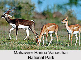 Tourism In Hyderabad District, Andhra Pradesh