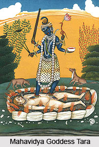 Mahavidya Goddesses, Hinduism