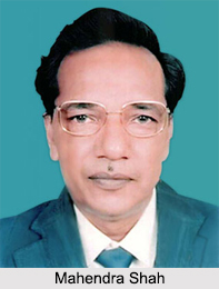 Mahendra Shah, Master Diamond Polisher, Indian Sculptors