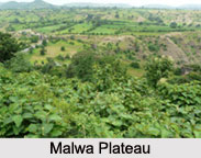 Central Highlands in India, Indian Physiography