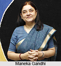 Maneka Gandhi, Indian Union Cabinet Minister