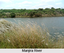 Manjira River, Indian River