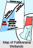 Pallikaranai Wetlands, Chennai