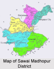 Sawai Madhopur District