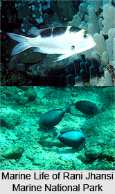 Rani Jhansi Marine National Park, Andaman and Nicobar Islands