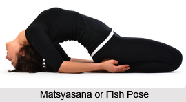 Matsyasana
