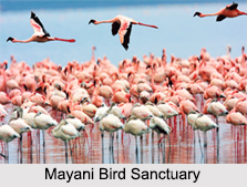 Bird Sanctuaries of Maharashtra