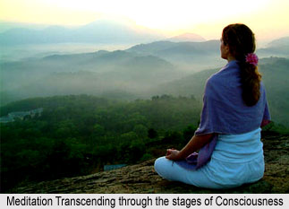 Theory of Consciousness