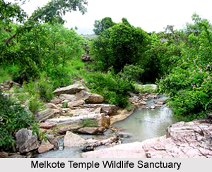 Melkote Temple Wildlife Sanctuary, Mandya district, Karnataka