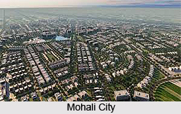 Mohali, Chandigarh, Punjab