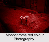 Styles in Monochrome Photography, Indian Photography