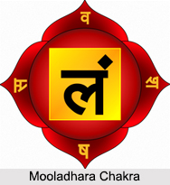 Mooladhara Chakra, Kundalini Chakra