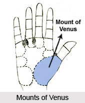 Mounts in Palmistry
