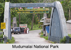 National Parks of Tamil Nadu