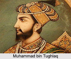 Muhammad bin Tughlaq, Delhi Sultanate