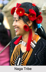 Nagaland, Indian State