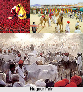 Nagaur Fair, Rajasthan