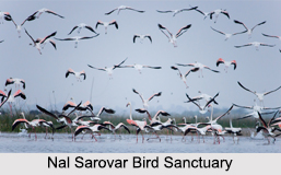 Bird Sanctuaries in India