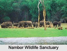 Wildlife Sanctuaries of Assam