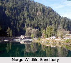 Indian Wildlife Sanctuaries