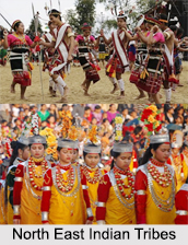 North East Indian Tribes