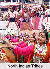 North Indian Tribes