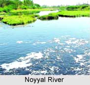 Noyyal River, Indian River