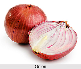 Onion