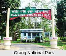 Orang National Park, Assam