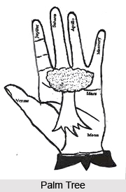 Knots, Palmistry