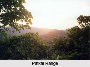 Northeast India-Myanmar Pine Forests